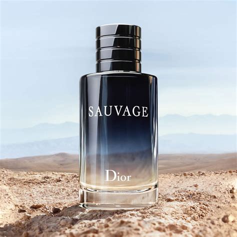 dior sauvage toilette oder parfum|dior sauvage parfum reddit.